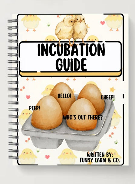 Children’s First Incubation Guide