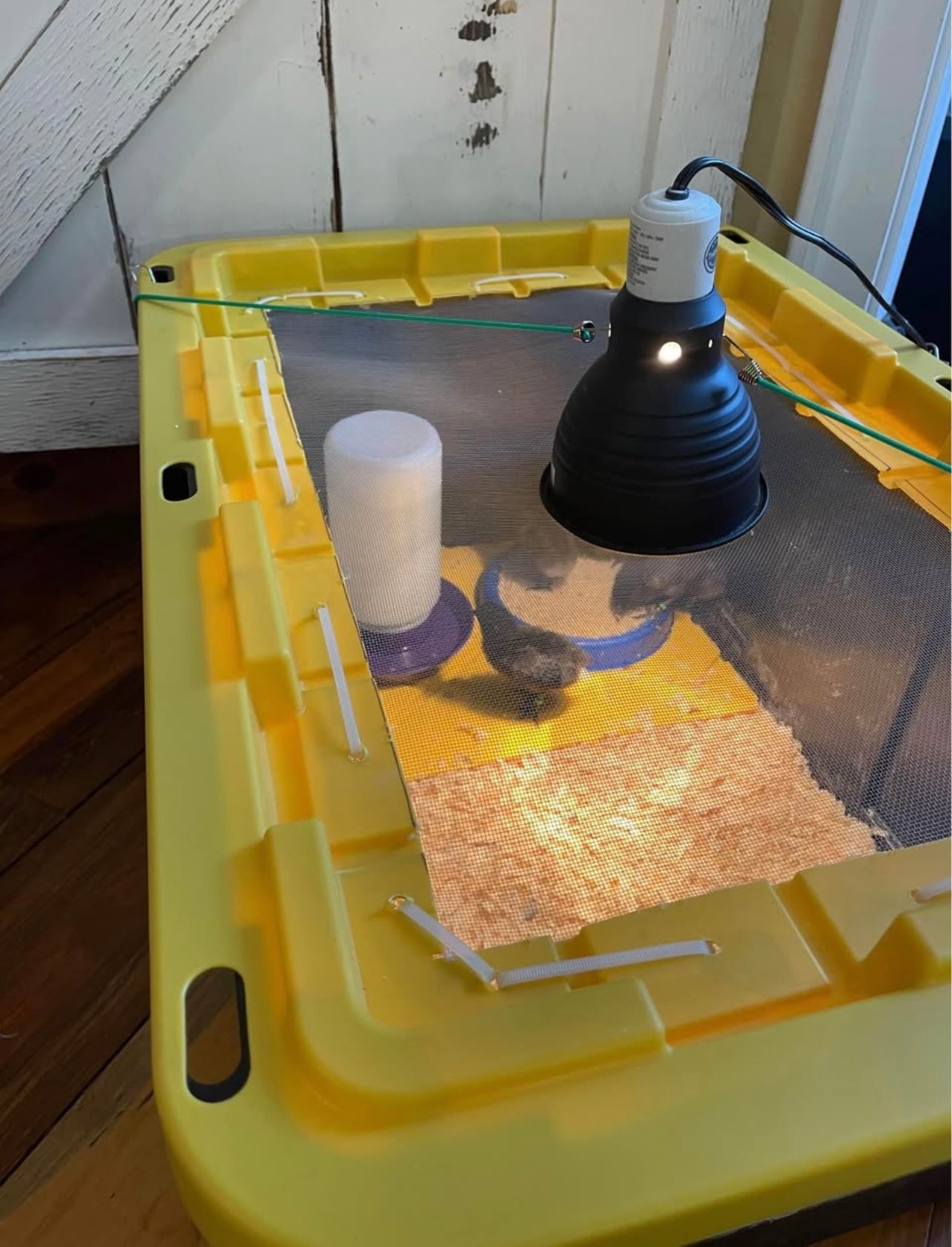 Chick Brooder Box