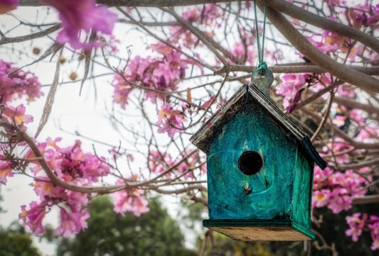 Children's Bird House Building Class